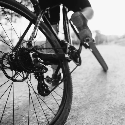 Palatinose™ 907g (9)