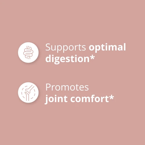 Bromelain 1500 mg 120 capsules (4)