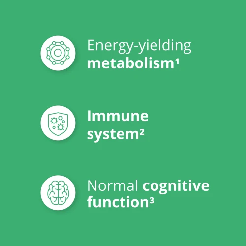Essential Multivitamin 90 caps (4)