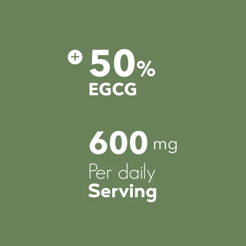Groene thee EGCG 600 mg 200 capsules (6)