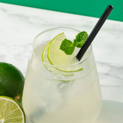 Clear Whey Isolate - Μοχίτο 500 g (5)