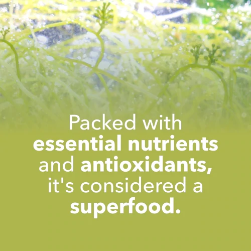 Spirulina 3000 mg 90 tablets (8)