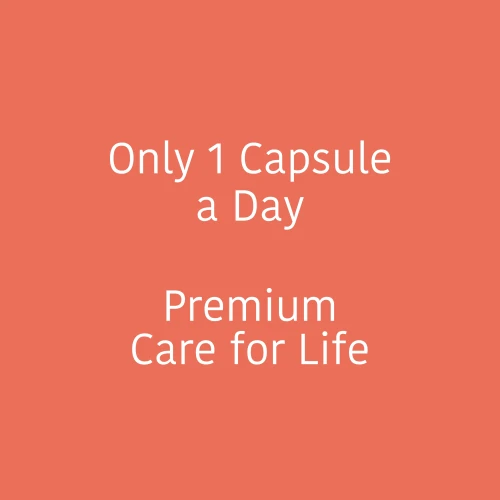 Ferrochel® - Ferro 20 mg 60 cápsulas (3)