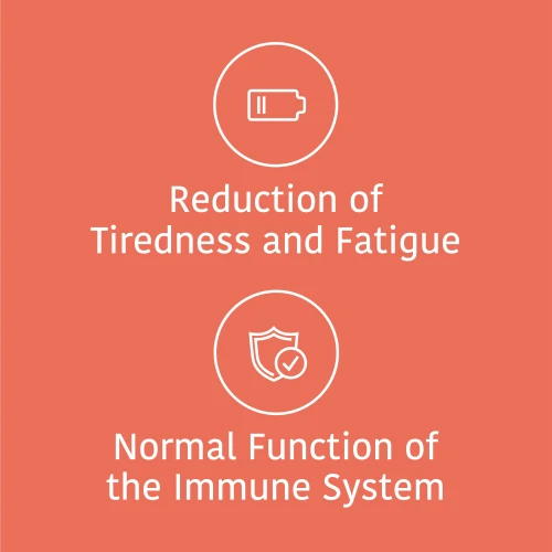 Ferrochel® - Ferro 20 mg 60 cápsulas (10)