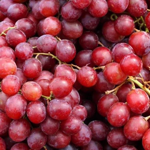 Grape Seed Extract 300mg 60 caps (3)