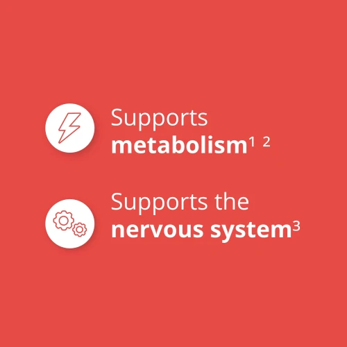 Vitamin B12 100 mcg 60 tabs (4)