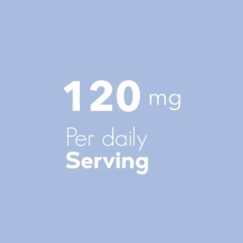 Gluconate de Zinc 120 mg 120 comprimés (6)