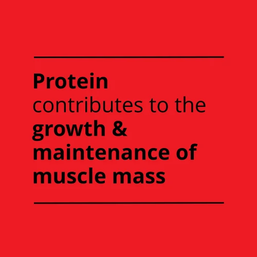 Instant Πρωτεϊνική Τηγανίτα 400 g (9)