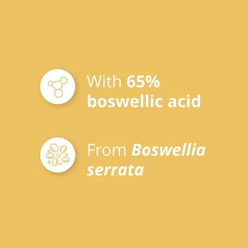 Boswellia Extract 250mg 90 caps (4)