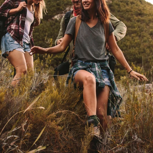 Boswellia Extract 250mg 90 caps (5)