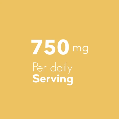 Boswellia Extract 250mg 90 caps (6)