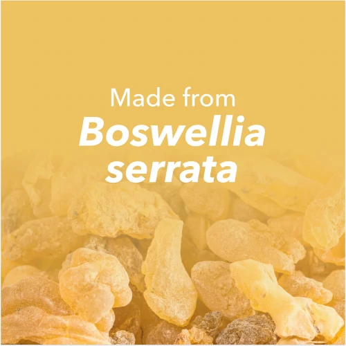 Boswellia Extract 250mg 90 caps (8)