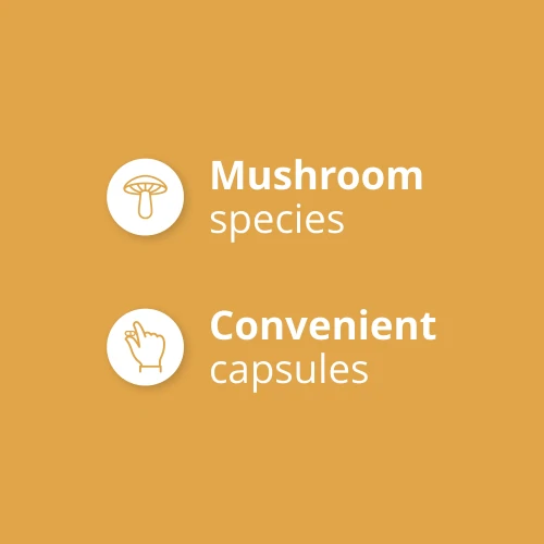 Cordyceps Sinensis 60 caps (4)