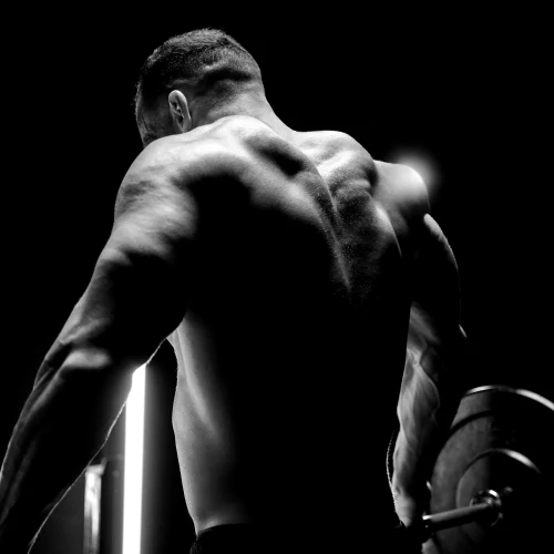 ZMAN 180 capsules (10)