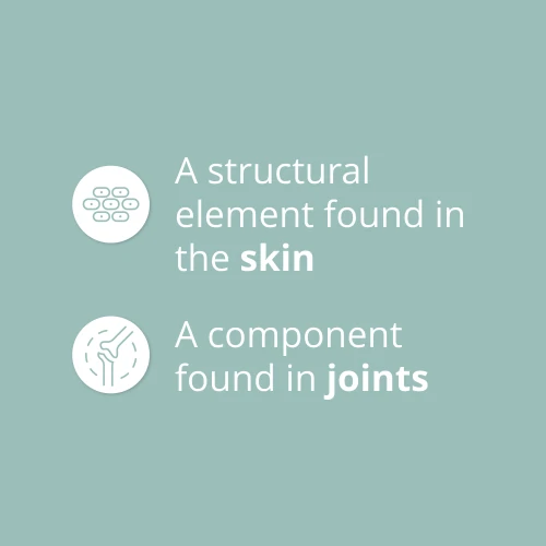 Hyaluronsäure 150 mg 60 Kapseln (4)