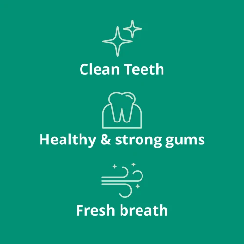 Bio-Zahnpasta 75 ml (7)