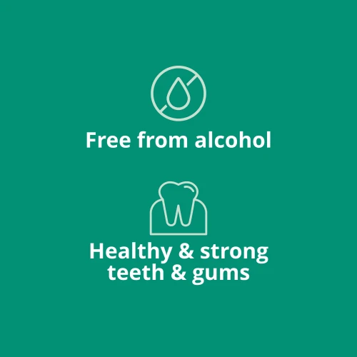 Bain de Bouche Bio 500 mL (7)