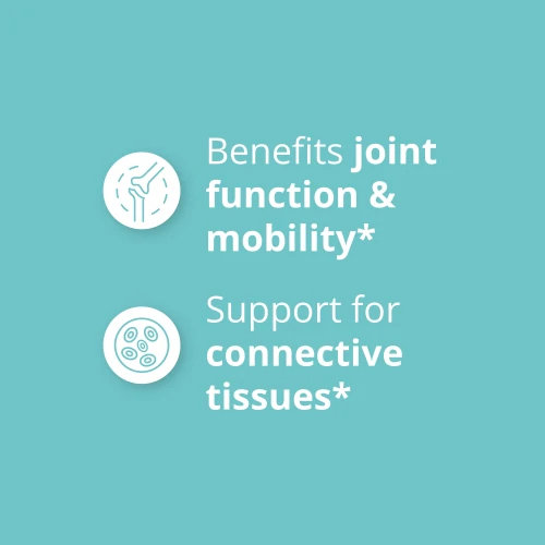 Glucosamine & Chondroitin 60 tablets (4)