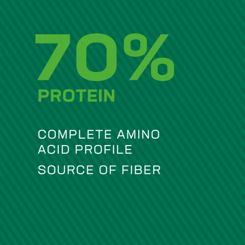 100% Vegan Protein 700g (3)