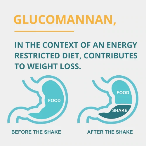 Whey + Fibre 700g (4)