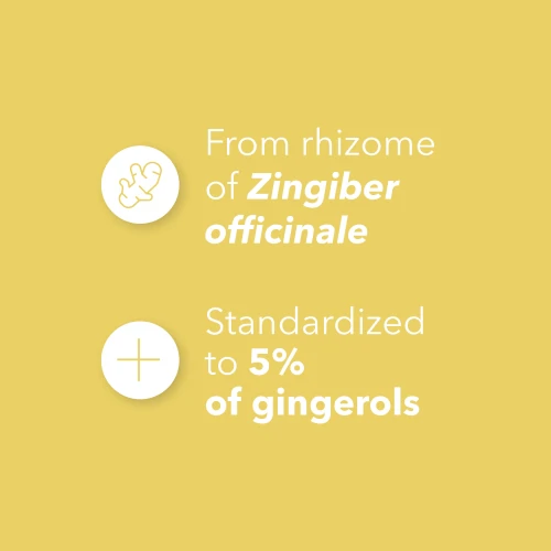 Gingembre 1500 mg 180 gélules (4)