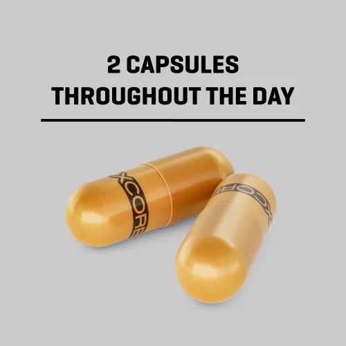 XCESS Day-Burn 120 capsules (2)