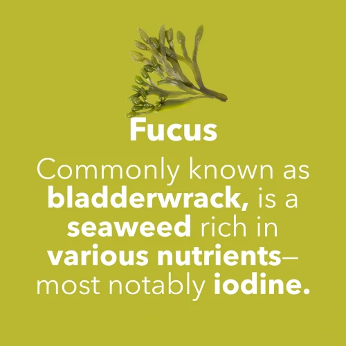 Fucus - Iodo 150 mcg 60 caps (7)