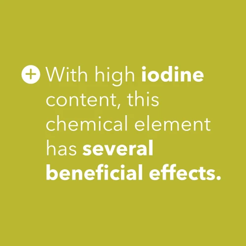 Fucus - Iodo 150 mcg 60 caps (9)