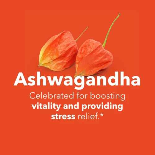 Ashwagandha Extract 450 mg 90 Veg capsules (7)