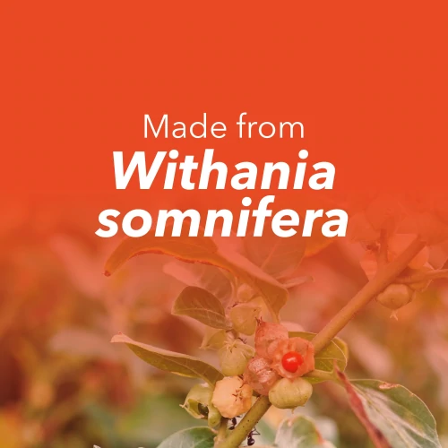 Ashwagandha Extract 450 mg 90 Veg capsules (8)