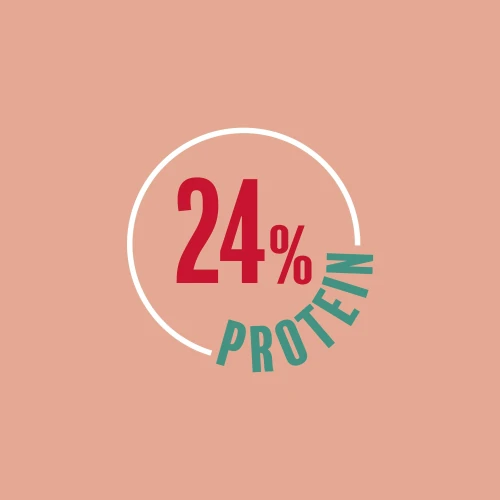 4 x Porridge avec Whey Oats-on-the-go 60 g Chocolat (6)