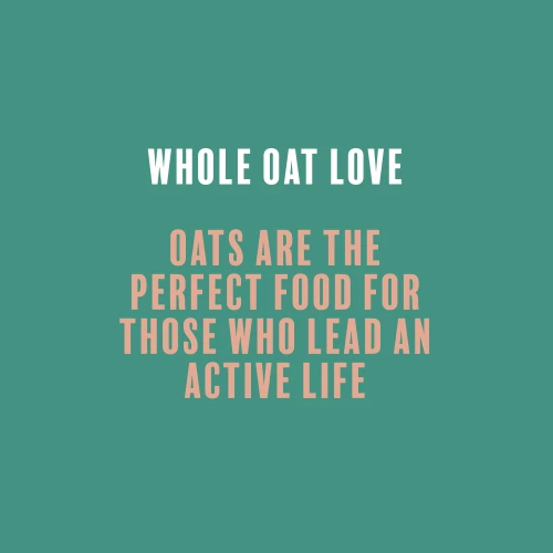 4 x Porridge avec Whey Oats-on-the-go 60 g Chocolat (7)