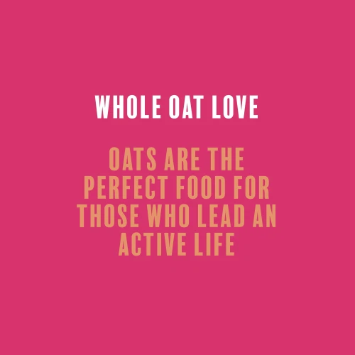 4 x Oats-on-the-go Whey Porridge 60 g Cinnamon (7)