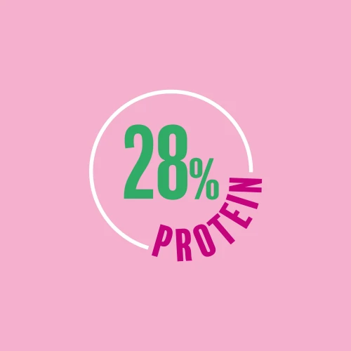 4 x Oats-on-the-go Haferbrei mit Molke 60 g Waldfrüchte (6)