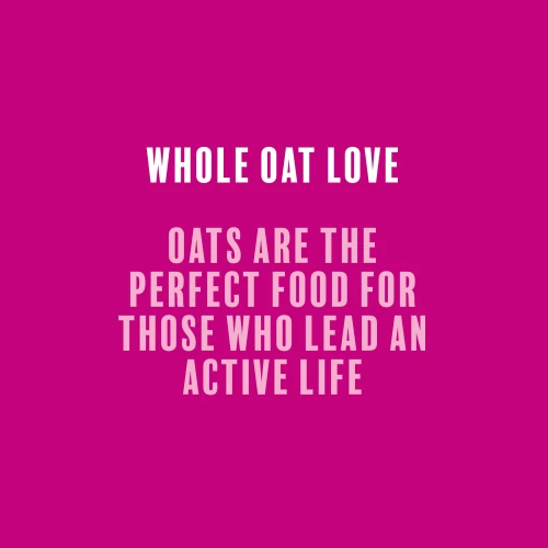 4 x Oats-on-the-go Haferbrei mit Molke 60 g Waldfrüchte (7)