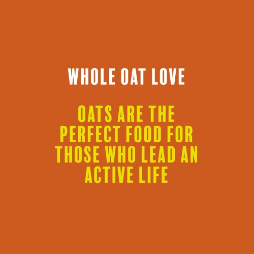 4 x Oats-on-the-go Haferbrei 60 g Erdnussbutter (7)