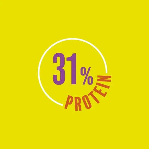 Oats-on-the-go Whey Porridge 60g Peanut Butter (6)