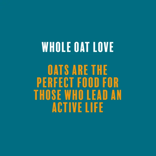 4 x Porridge avec Whey Oats-on-the-go 60 g Caramel (7)