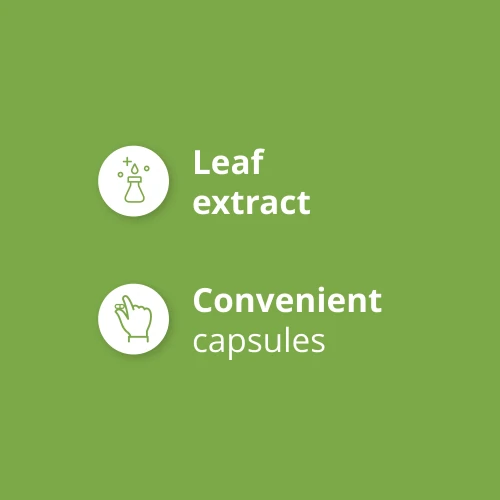 Moringa Oleifera 90 caps (4)