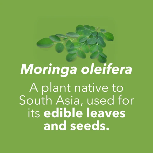 Moringa Oleifera 90 caps (7)