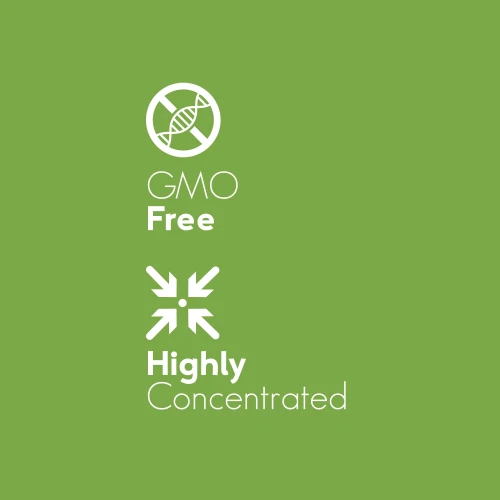 Moringa Oleifera 180 caps (6)