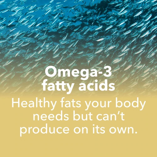Omega-3 DHA Plus 60 capsules molles (7)