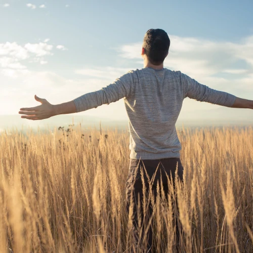 Valerian Root 500 mg 90 caps (5)