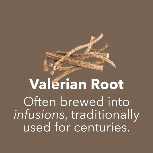 Valerian Root 500 mg 90 caps (7)
