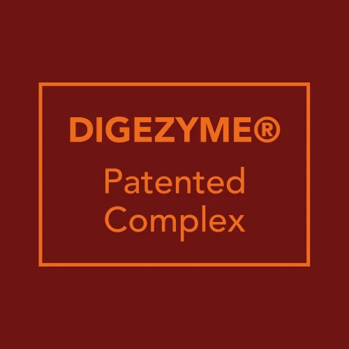 H2O Digestive - 8 sticks (8)