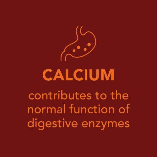 H2O Digestive - 8 sticks (9)