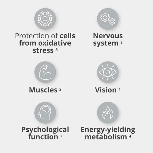 Multi PRZ 60 caps (3)