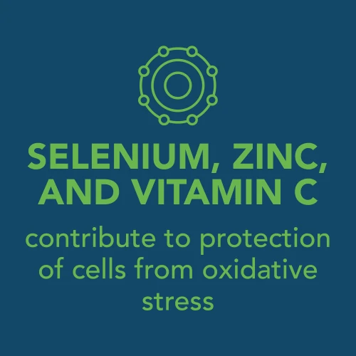 H2O Immune - 8 sticks (9)