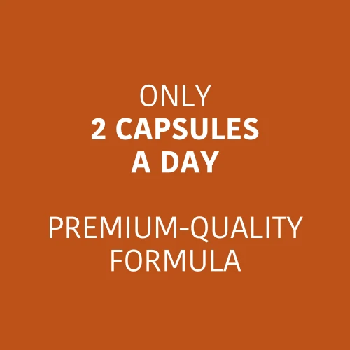 Caféine + Théanine (100 mg + 200 mg) 60 gélules (3)