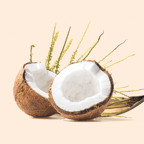 Σιρόπι από άνθη καρύδας 300 γρ (2)